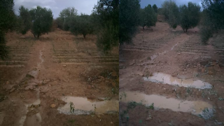 عاصفة رعدية قوية بتازة ومطالب بجبر الأضرار – Kech24: Morocco News – كِشـ24 : جريدة إلكترونية مغربية