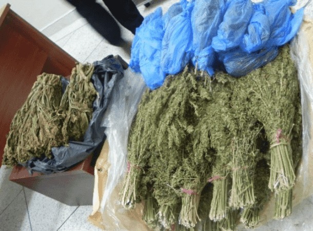 ضبط 20 كيلوغراما من الكيف بجماعة الخنك نواحي الرشيدية